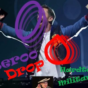 Concert de Zerodrop