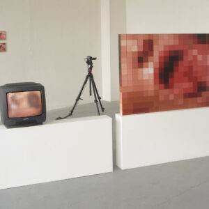 Christophe Lucie, Sculpture, GestaltXXX - Acrylique sur bois. 252 cubes, 32 couleurs, 4 images. 2008 - 2010