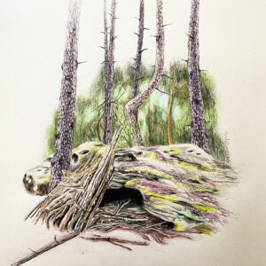 Grotte - 70 x 50 cm - crayons de couleur sur papier