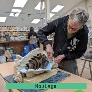 Moulage