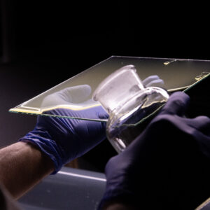 Collodion humide sur plaque de verre