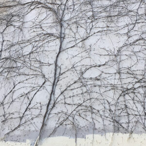 Sur le mur