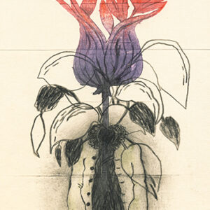 monotype