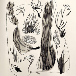 dessin