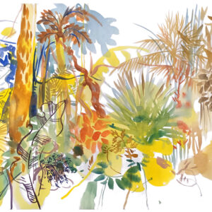serre tropicale d'auteuil 5