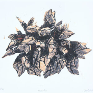 Pouce pieds - Linogravure - delphinE Le Berre