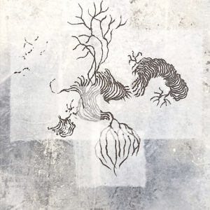 Dominique Moreau, rhizomes