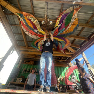 El mariposa !