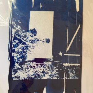 Cyanotype Florence Cartault