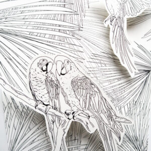 DIY - coloriages pop up oiseaux