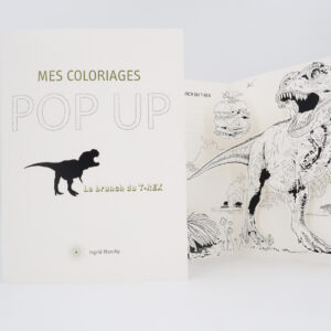 DIY - coloriages pop up T-REX etc... 15 coloriages pop up avec des thematiques diverses