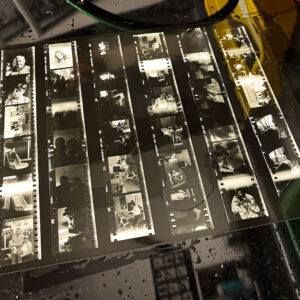 Labo / planche contact