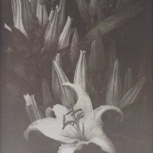 Composition florale-Papier salé