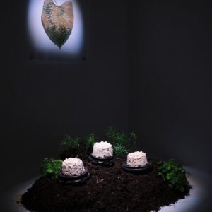 Lunar Offering (2025) - 3 mycelium-cast mooncakes and a chlorophyll print. Image courtesy of Kay Murata