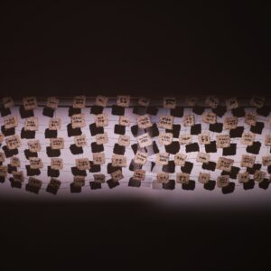 100 Silent Utterances (2025) - 100 mycelium cast tiles, 600m embroidery of Nom Script. Image courtesy of Kay Murata
