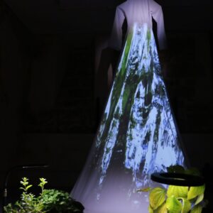 roots run wild on threads of memory (2025) - large-scale installation, 15 minutes of 2-channel sound and 1-channel projection mapped video, 10 plants and 4m long Ao Dai. Image courtesy of Kay Murata