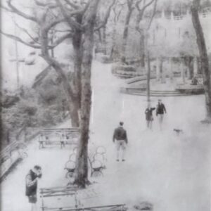 Central Park-Bromoil