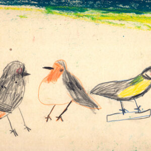 Les oiseaux de Gabriel