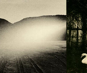 Olivier Marchesi
