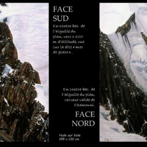 41.Face NORD - Face SUD