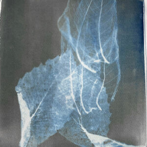 Aurore Cassegrain - Cyanotype (2025)