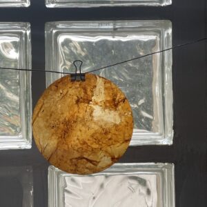 Similicuir de Kombucha