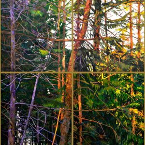 Intérieur de forêt violet