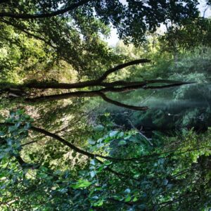 Aux Songes de l'Été *2