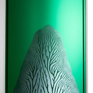 Thomas Tronel-Gauthier - Peinture Verte #1 (2025)