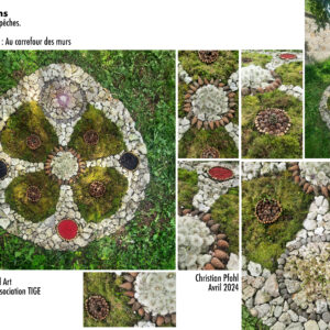 MANDALA CENTRAL en Floraison - Murs à Peches 2024