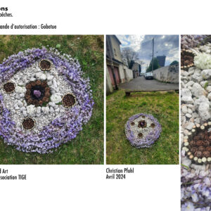 MANDALA GOBETUE en Floraison - Murs a peches 2024