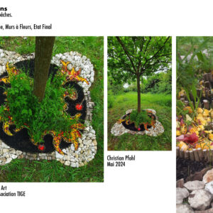 MANDALA DU CHENE - Murs a fleurs 2024