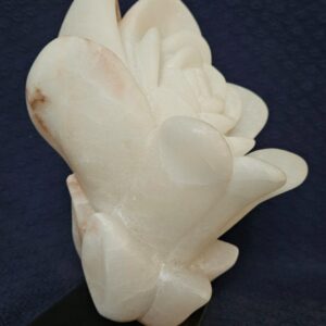 Fleur Emmanuelle Clayer