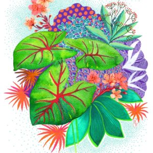 Printemps Tropical_BV