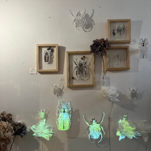 Mapping on insects and flowers paper