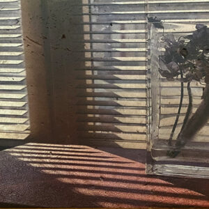 Evelyne Pérard - Photopierre N°15