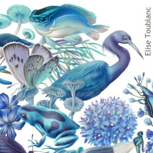 Toublanc-ceramique-nocturne-grenouille