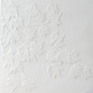 feuilles d'érable