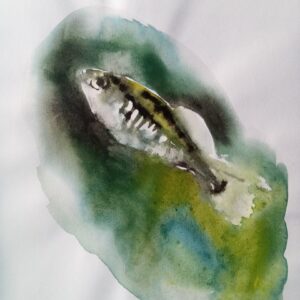 Poisson soluble
